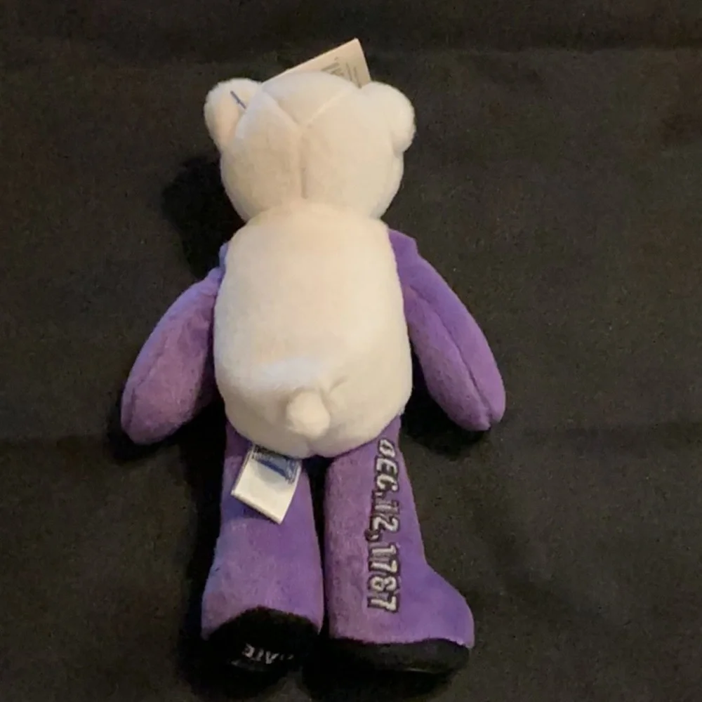 Pennsylvania Purple & White Plush Bear - Souvenir
